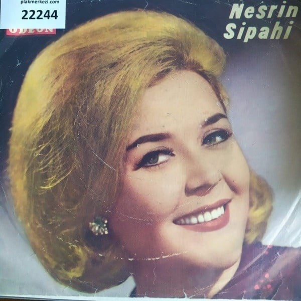 nesrin-sipahi-gul-agaci-degilem-sureyy-23-4d7.jpg