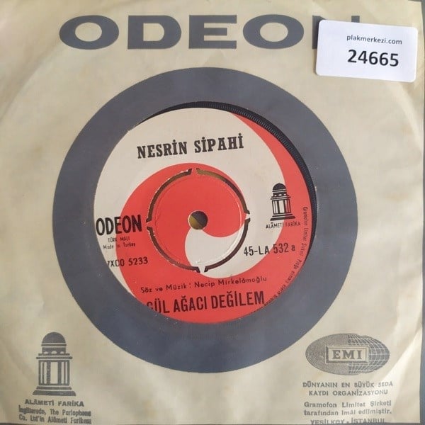 nesrin-sipahi-gul-agaci-degilem-sureyy-877432.jpg