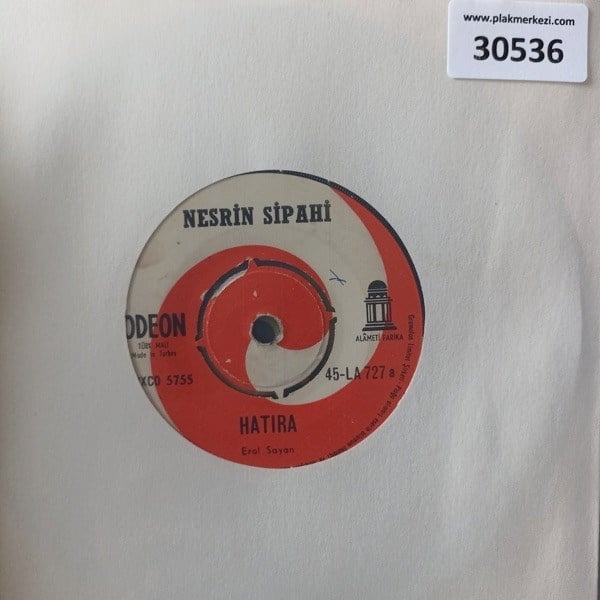 nesrin-sipahi-hatira-gun-dogmadan-nele-64-4bb.jpg