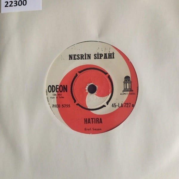 nesrin-sipahi-hatira-gun-dogmadan-nele-6e39fa.jpg