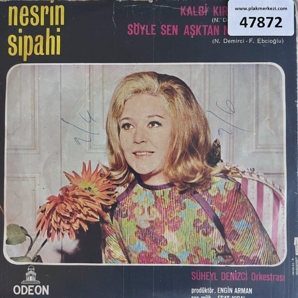 nesrin-sipahi-kalbi-kirik-serseri-soyl-4d88e3.jpg