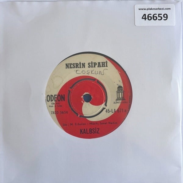 nesrin-sipahi-kalbsiz-icin-icin-yaniyo-5-4757.jpg