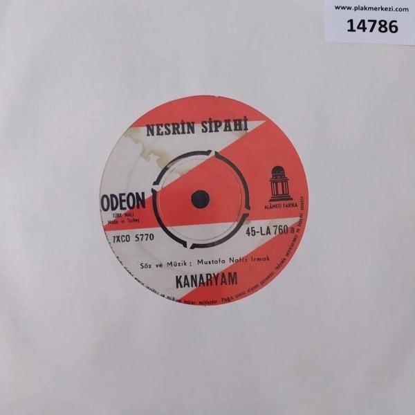 nesrin-sipahi-kanaryam-her-yer-karanli-ee83-6.jpg
