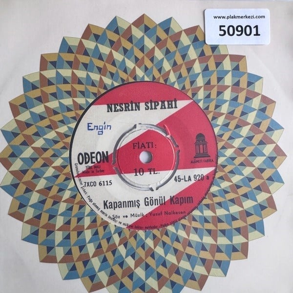 nesrin-sipahi-kapanmis-gonul-kapim-yin-4c73-8.jpg