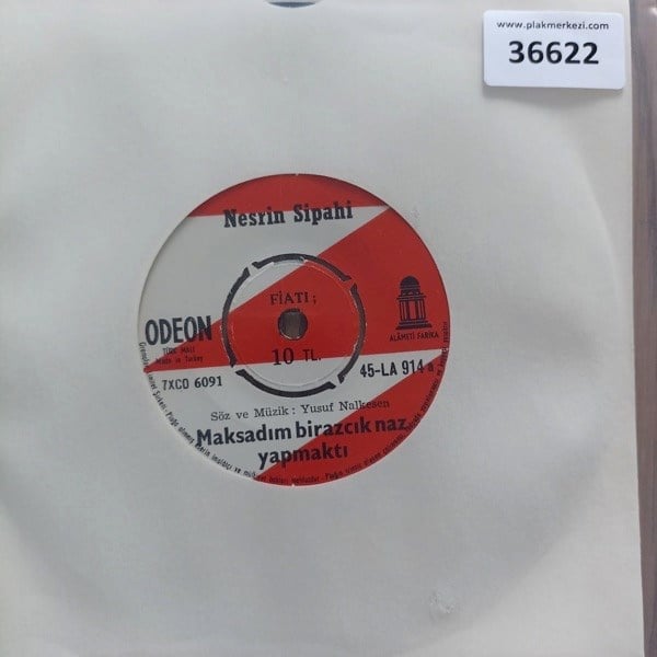 nesrin-sipahi-maksadim-birazcik-naz-ya-04-4f4.jpg