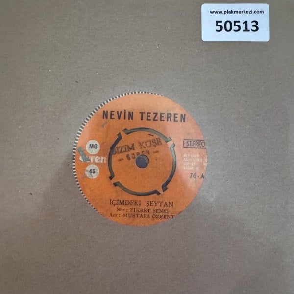 nevin-tezeren-icimdeki-seytan-sendemi---1420c.jpg
