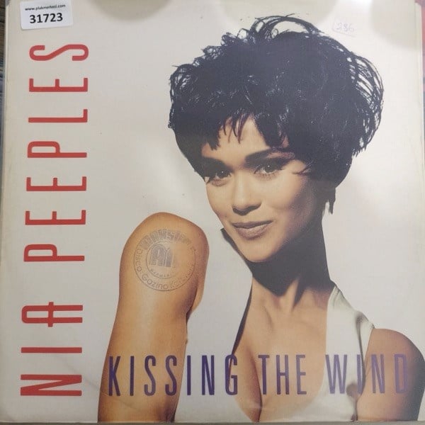 nia-peeples-kissing-the-wind-7-versiyo--876d-.jpg