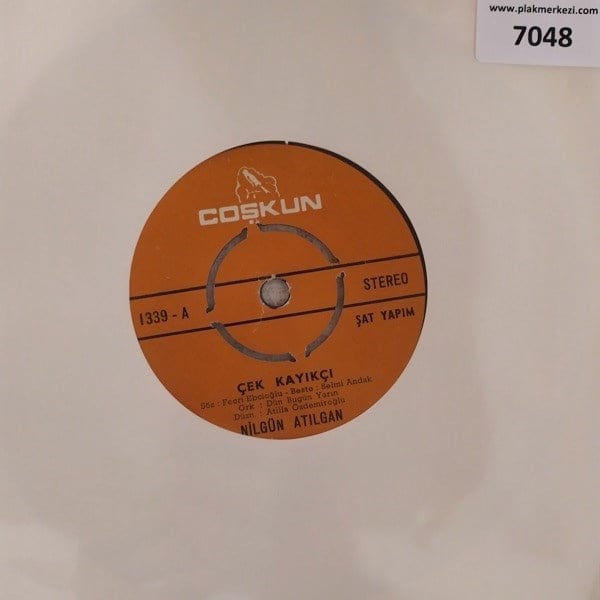 nilgun-atilgan-cek-kayikcinerden-cikti-066833.jpg