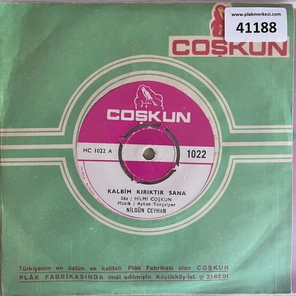 nilgun-ceyhan-kalbim-kiriktir-sana-ser-b79610.jpg
