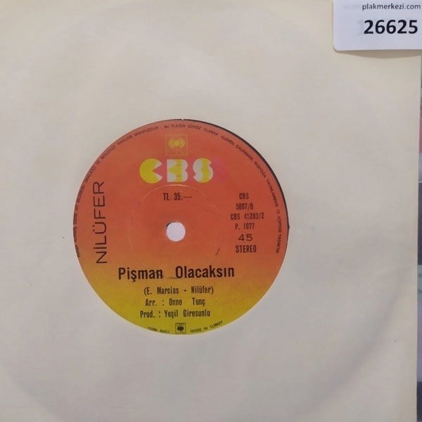 nilufer-ne-olacak-simdi-pisman-olacaks-17cd7-.jpg