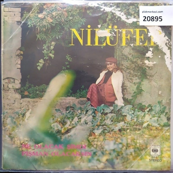 nilufer-ne-olacak-simdi-pisman-olacaks-9eb-fa.jpg