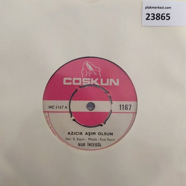 nur-incegul-azicik-asim-olsun-cok-icmi--046e4.jpg