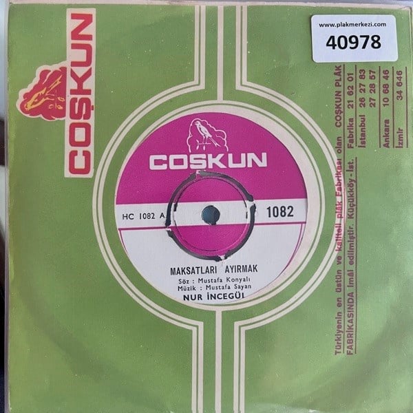 nur-incegul-maksatlari-ayirmak-gozleri-ac3cea.jpg