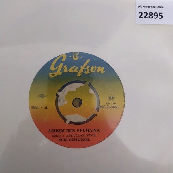 nuri-sesiguzel-asikim-ben-selmaya-gide-dc02a6.jpg