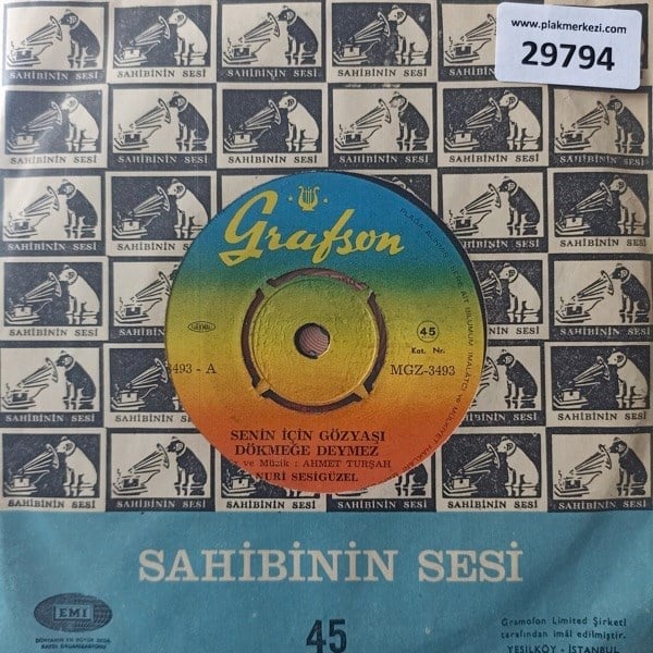 nuri-sesiguzel-senin-icin-gozyasi-dokm-de6f40.jpg