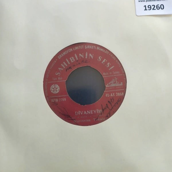nurinnisa-toksoz-divaneyim-gul-bir-def-1-86af.jpg