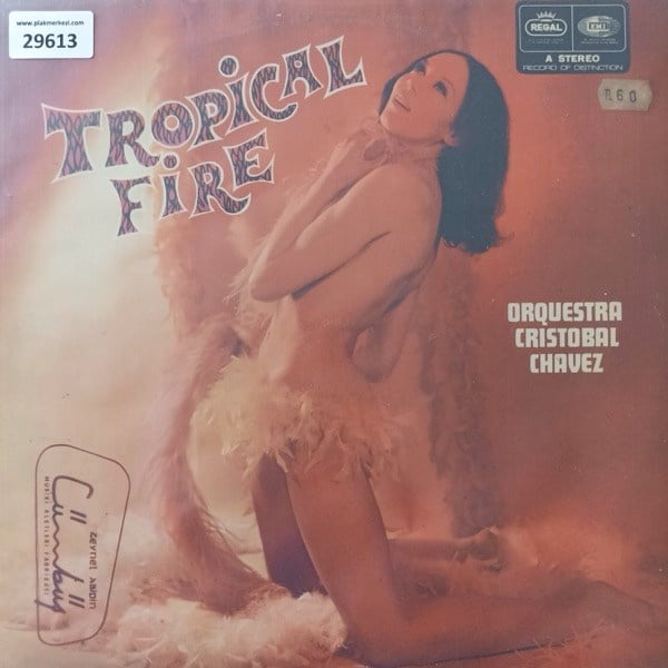 orquestra-cristobal-chavez-tropical-fi--b6d0-.jpg