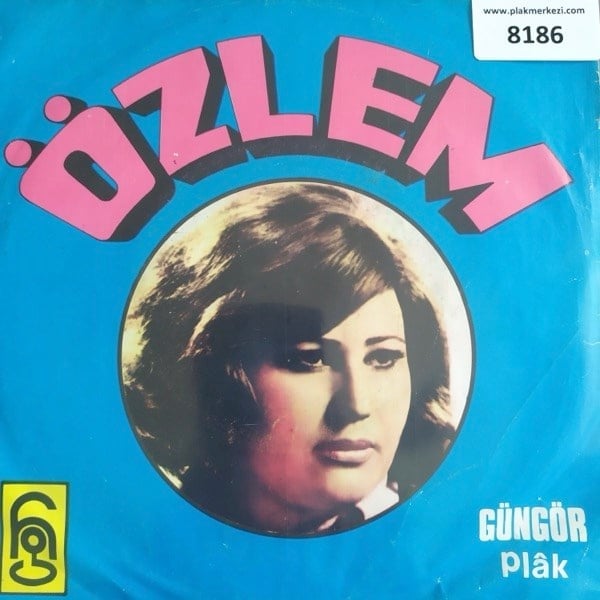ozlem-cile-bendesana-donmek-mi-bir-dah-91-3f3.jpg