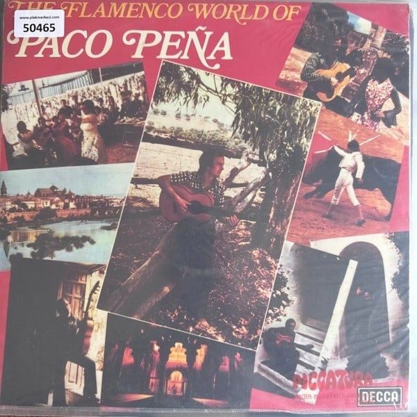 paco-pena-the-flamenco-world-of-donem--97-507.jpg
