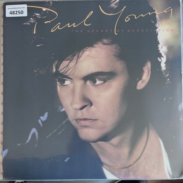 paul-young-the-secret-of-association-i-af37af.jpg