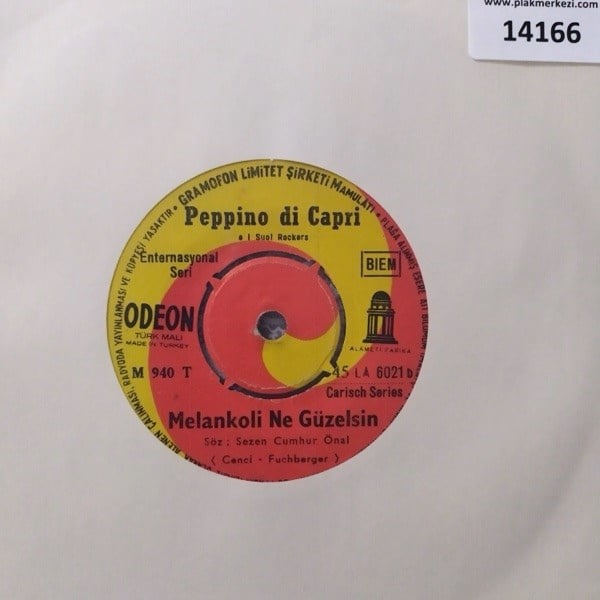 peppino-di-capri-melankoli-ne-guzelsin-0c12-4.jpg