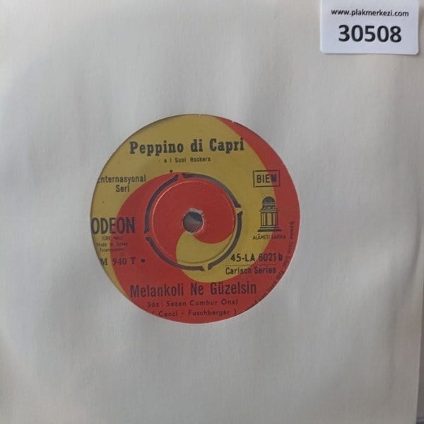 peppino-di-capri-melankoli-ne-guzelsin-edcb87.jpg