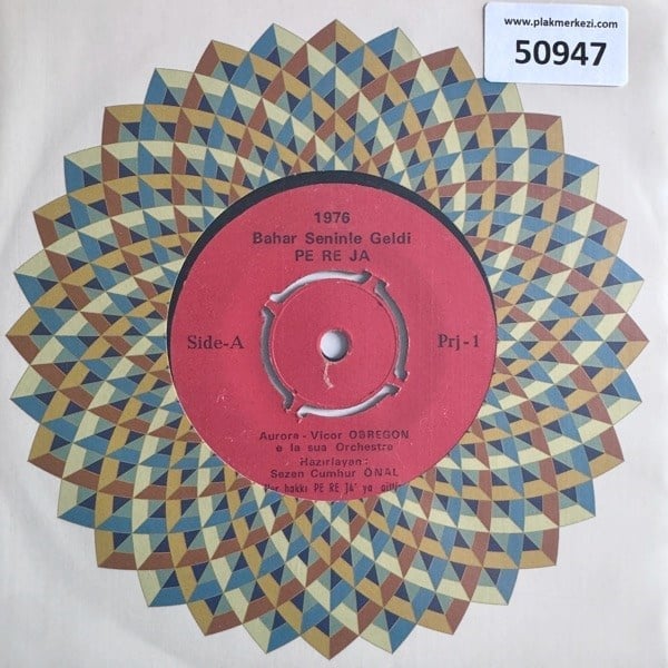 pereja-sezen-cumhur-onal-bir-cicek-gib--f7924.jpg