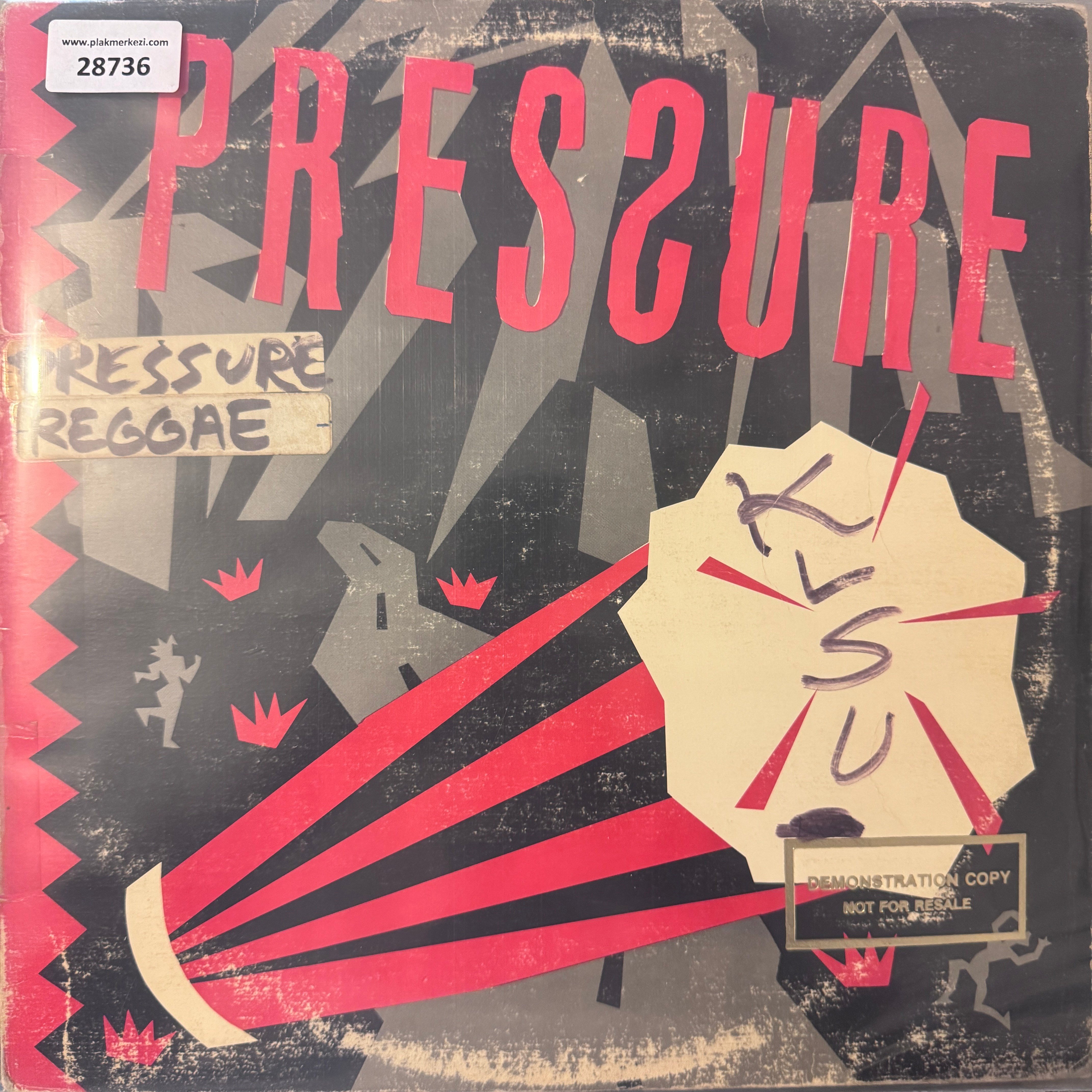 pressure-pressure-demonstration-copy-1-4a2c-8.jpg