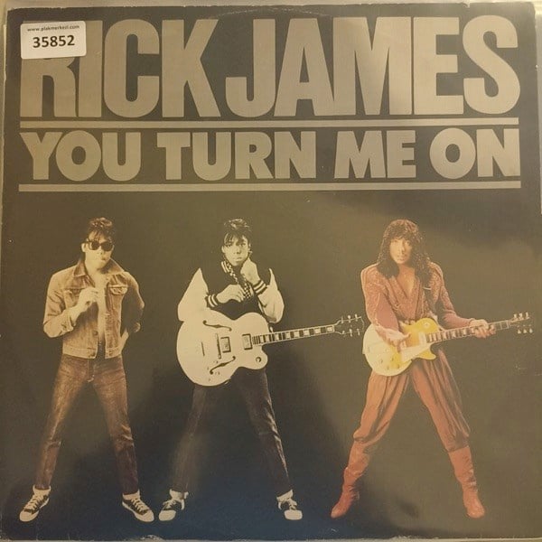 rick-james-you-turn-me-on-fire-and-des-83-987.jpg