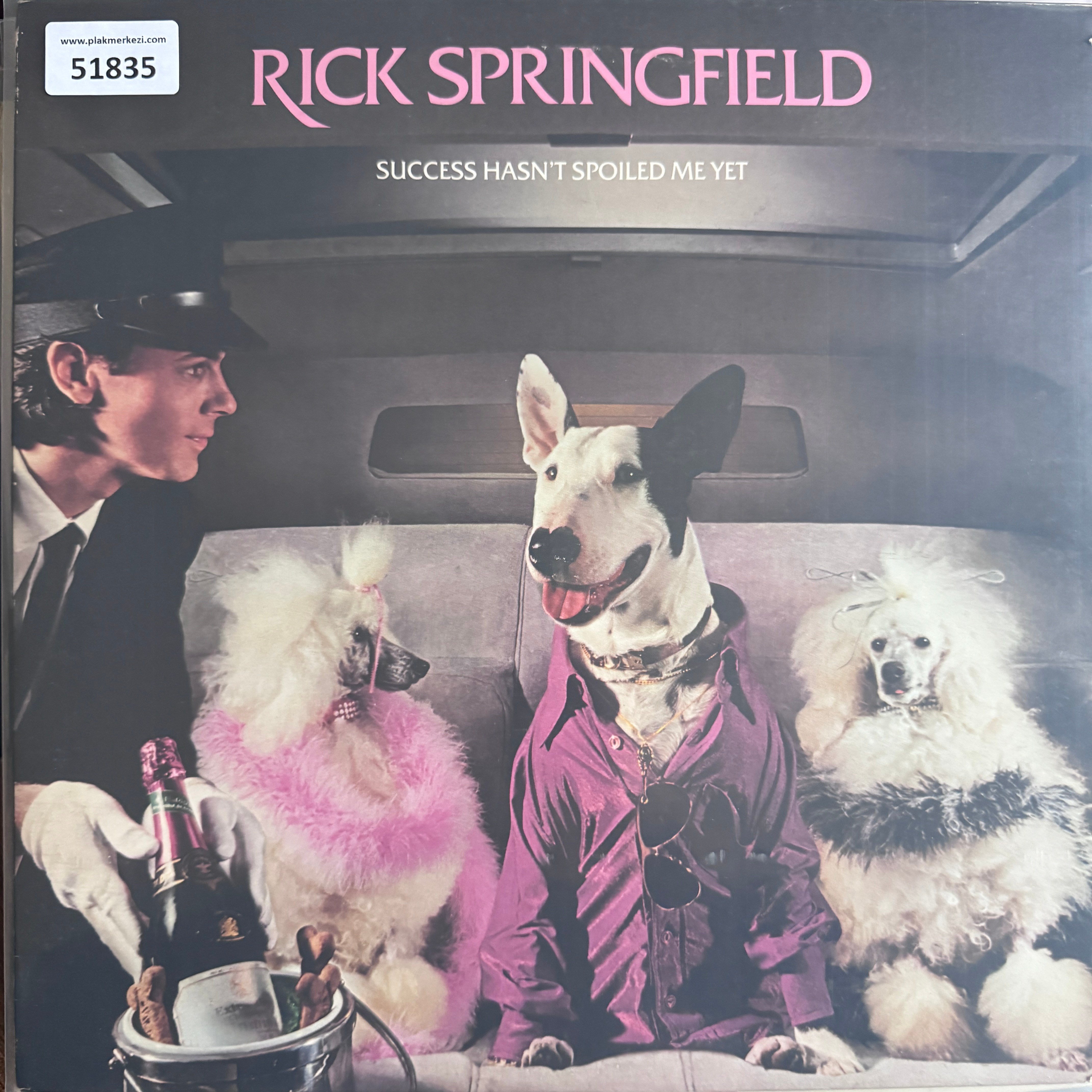 rick-springfield-success-hasnt-spoiled-340-12.jpg