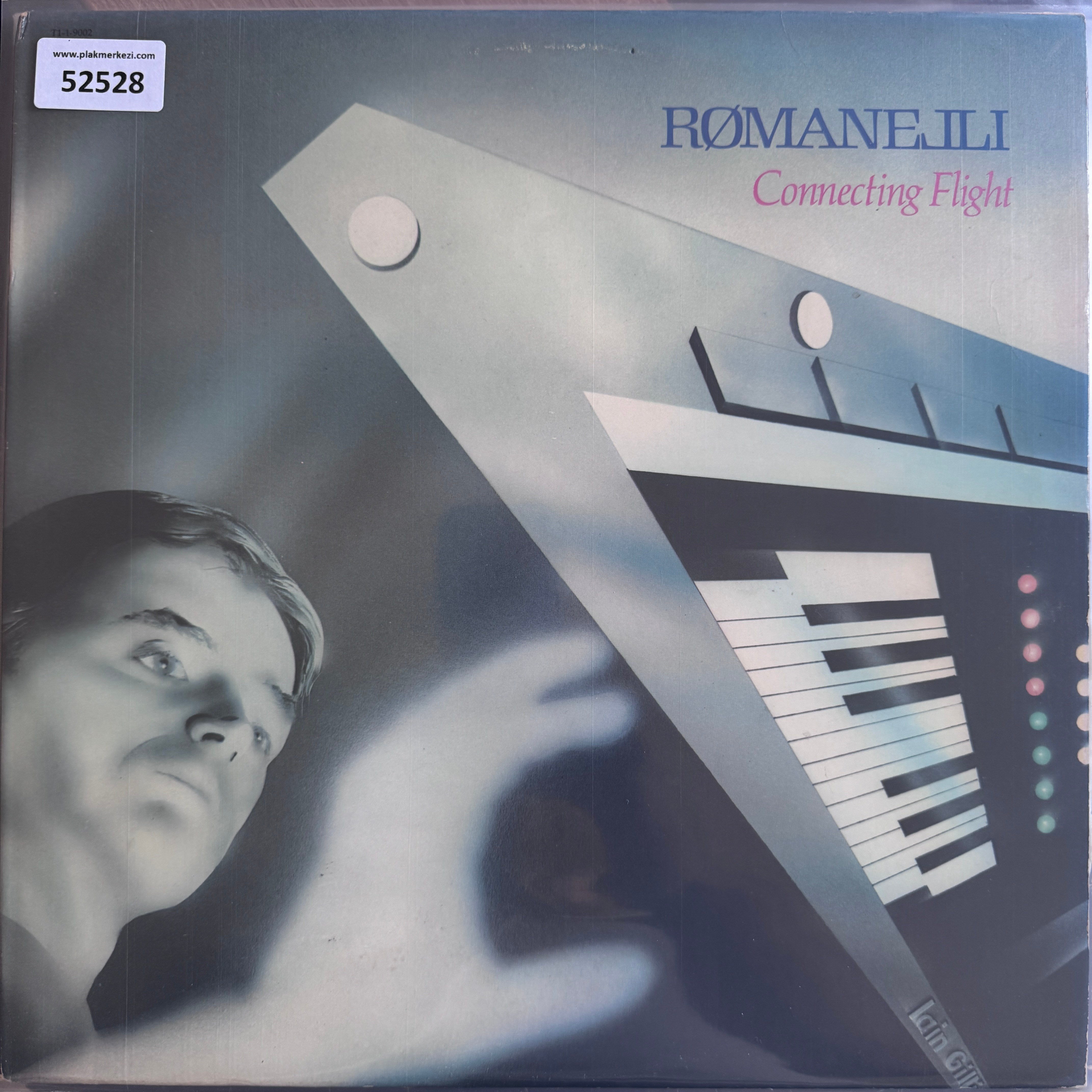 romanelli-connecting-flight-1982-ameri-5-49ff.jpg