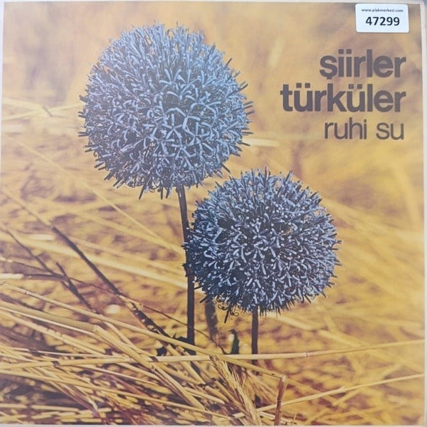 ruhi-su-siirler-turkuler-acilir-kapak---7db14.jpg