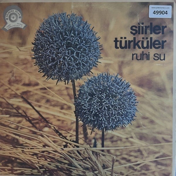 ruhi-su-siirler-turkuler-acilir-kapak--55e1f2.jpg