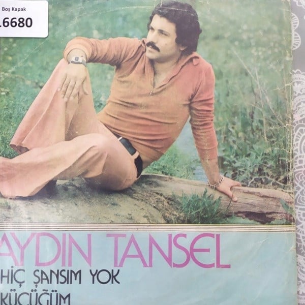 sadece-kapak-_-aydin-tansel-_-hic-sans-94-aa9.jpg