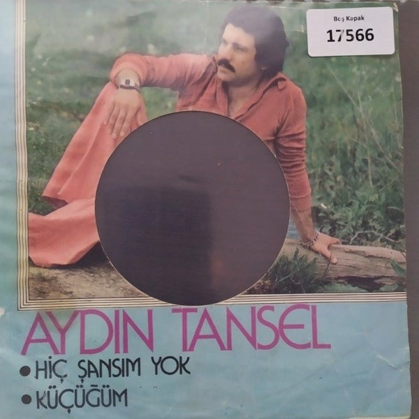 sadece-kapak-_-aydin-tansel-_-hic-sans-e04-4e.jpg