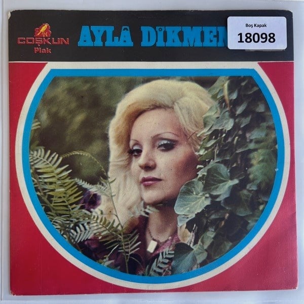 sadece-kapak-_-ayla-dikmen-_-coban-pin-f-98e9.jpg