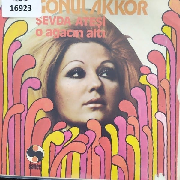 sadece-kapak-_-gonul-akkor-_-sevda-ate--468e-.jpg