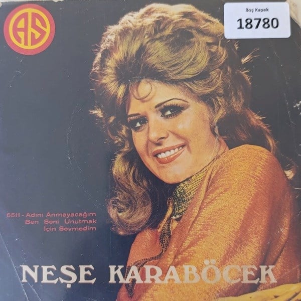 sadece-kapak-_-nese-karabocek-_-adini--3984-4.jpg