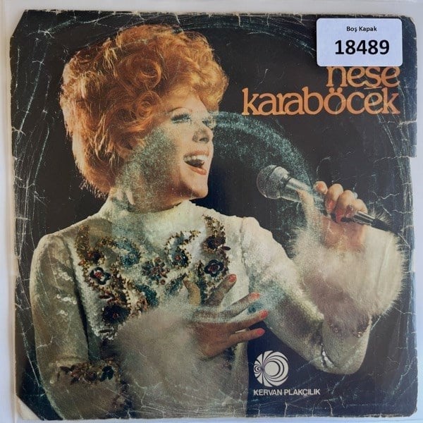 sadece-kapak-_-nese-karabocek-_-gonul---8180-.jpg