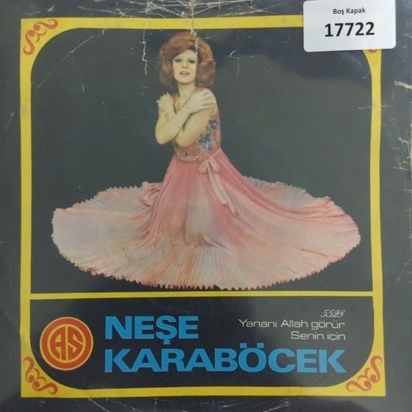 sadece-kapak-_-nese-karabocek-_-yanani-512b-4.jpg