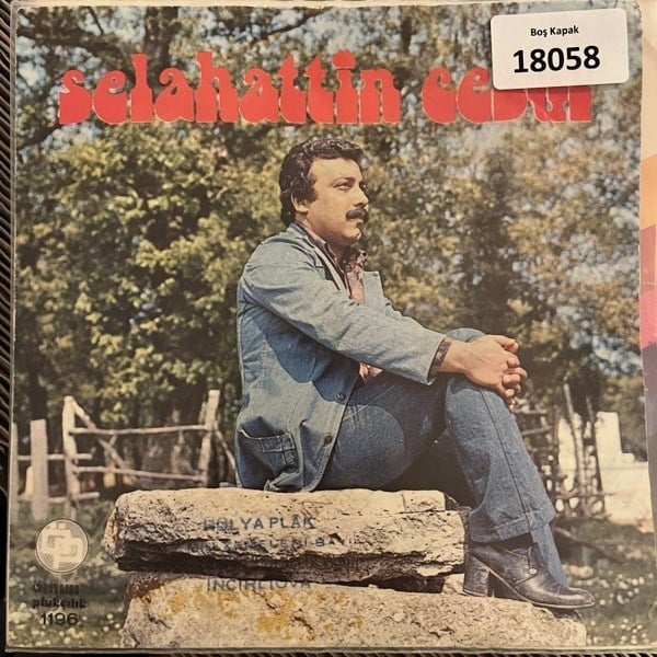 sadece-kapak-_-selahattin-cesur-_-bu-b-f979e0.jpg