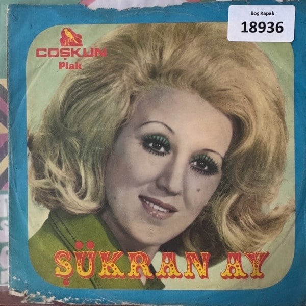 sadece-kapak-_-sukran-ay-_-coskun-plak-2c6f1e.jpg
