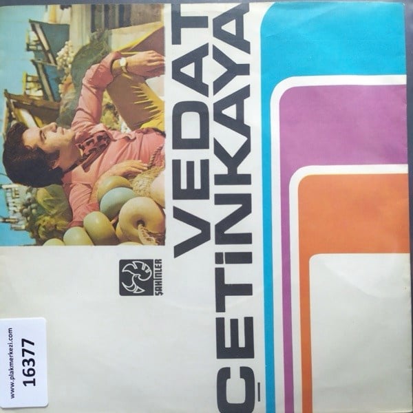 sadece-kapak-_-vedat-cetinkaya-_-sahin--4747-.jpg