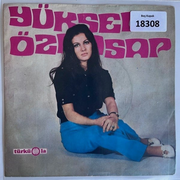 sadece-kapak-_-yuksel-ozkasap-_-cok-sa-62bac1.jpg