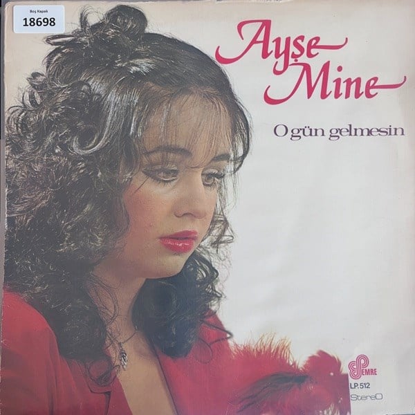 sadece-kapak-ayse-mine-o-gun-gelmesin--1-a10c.jpg