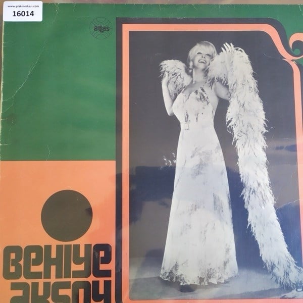 sadece-kapak-behiye-aksoy-karli-bir-ki-8345df.jpg