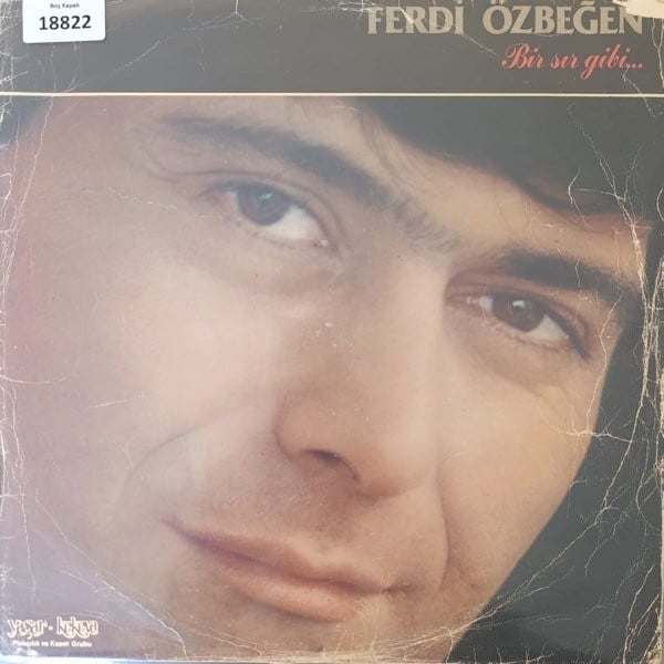 sadece-kapak-ferdi-ozbegen-bir-sir-gib-40db-a.jpg