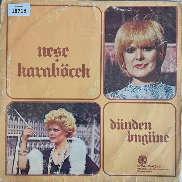 sadece-kapak-nese-karabocek-dunden-bug--41e7-.jpg
