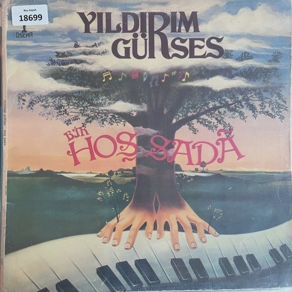 sadece-kapak-yildirim-gurses-bir-hos-s-622a7a.jpg