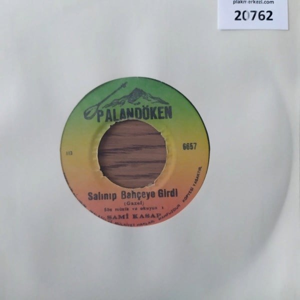 sami-kasap-salinip-bahceye-girdi-gozle-f9542f.jpg